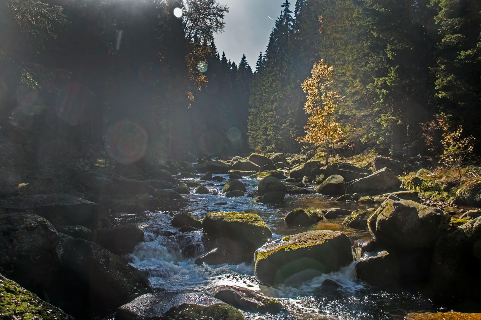 Hamerský potok v obci Kvilda (Autorka fotografie: Magdalena Krekels: https://www.pexels.com/cs-cz/foto/1535029/)